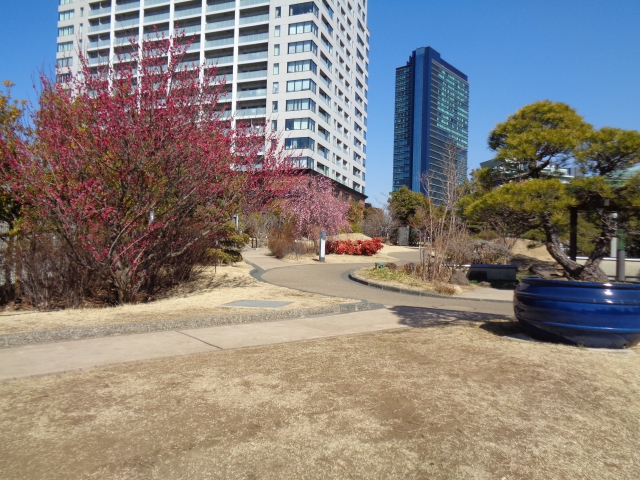 目黒天空庭園・オーパス夢ひろば